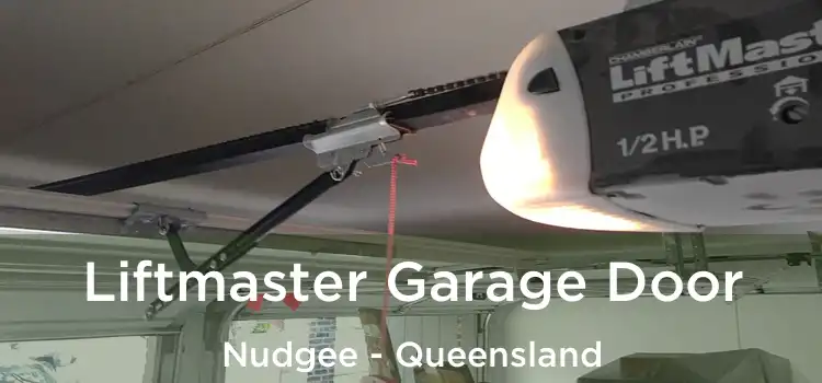 Liftmaster Garage Door Nudgee - Queensland