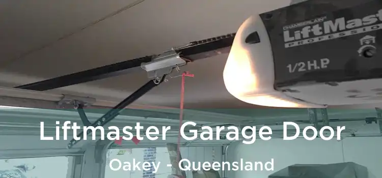 Liftmaster Garage Door Oakey - Queensland