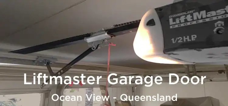 Liftmaster Garage Door Ocean View - Queensland