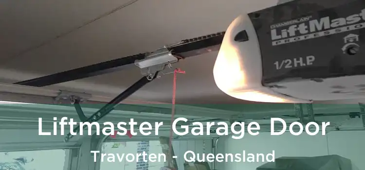 Liftmaster Garage Door Travorten - Queensland