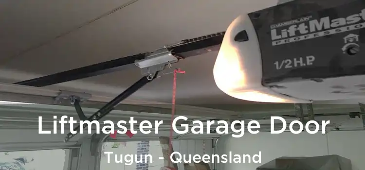 Liftmaster Garage Door Tugun - Queensland