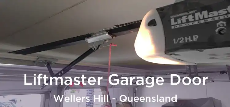 Liftmaster Garage Door Wellers Hill - Queensland