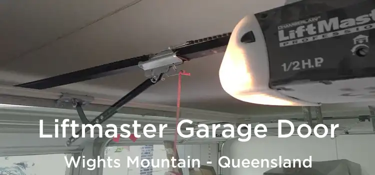 Liftmaster Garage Door Wights Mountain - Queensland