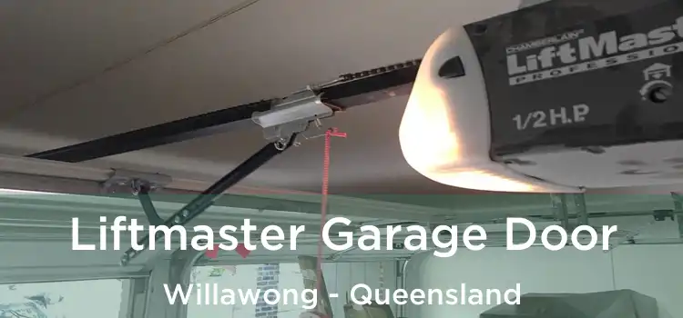 Liftmaster Garage Door Willawong - Queensland