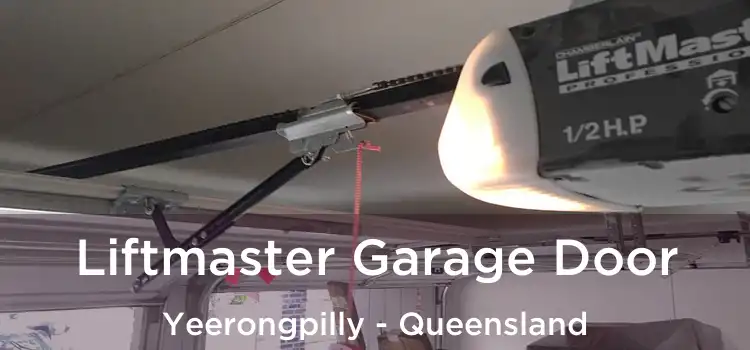 Liftmaster Garage Door Yeerongpilly - Queensland