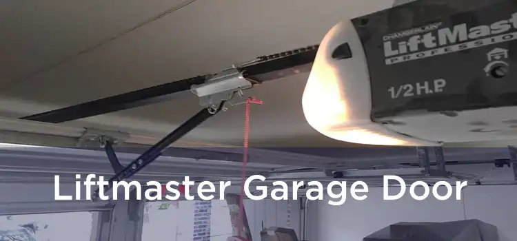 Liftmaster Garage Door