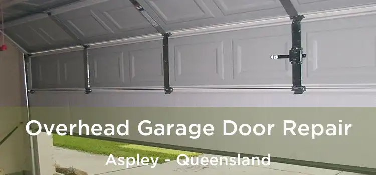 Overhead Garage Door Repair Aspley - Queensland