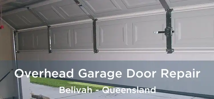 Overhead Garage Door Repair Belivah - Queensland