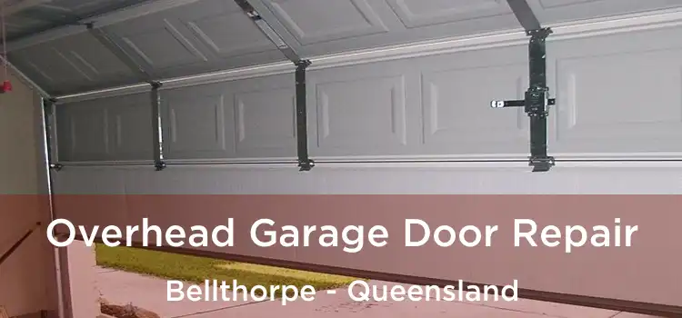 Overhead Garage Door Repair Bellthorpe - Queensland