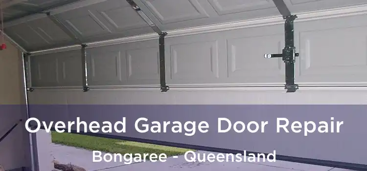 Overhead Garage Door Repair Bongaree - Queensland