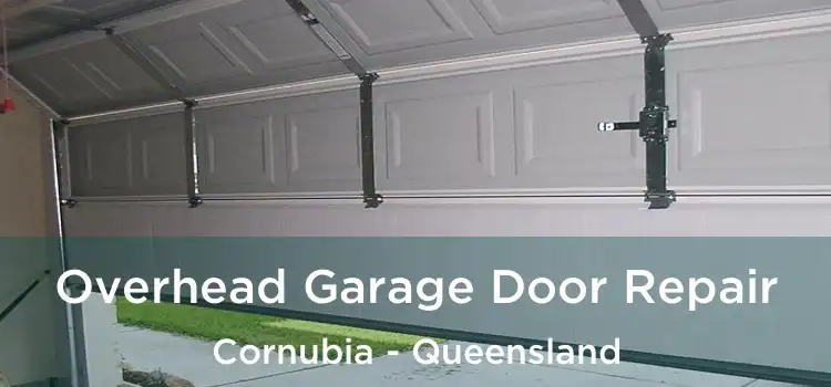 Overhead Garage Door Repair Cornubia - Queensland