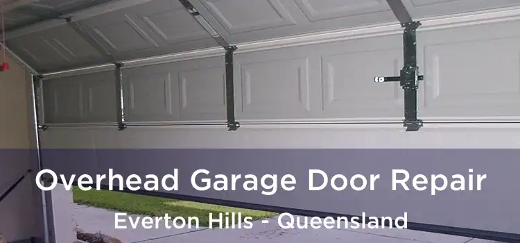 Overhead Garage Door Repair Everton Hills - Queensland
