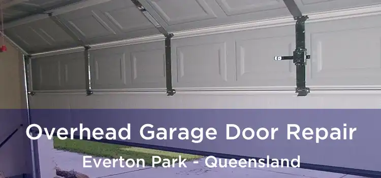 Overhead Garage Door Repair Everton Park - Queensland