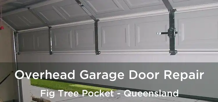 Overhead Garage Door Repair Fig Tree Pocket - Queensland