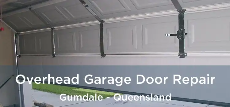 Overhead Garage Door Repair Gumdale - Queensland