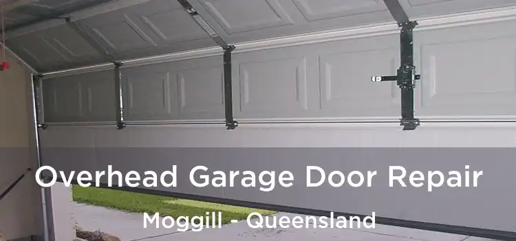 Overhead Garage Door Repair Moggill - Queensland