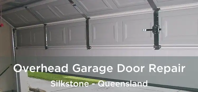 Overhead Garage Door Repair Silkstone - Queensland