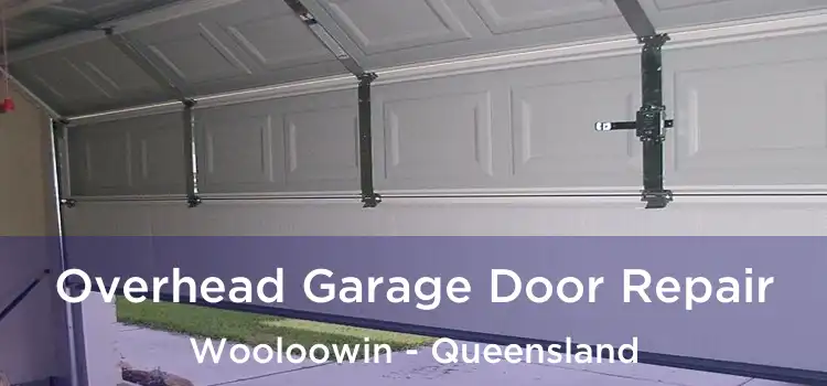 Overhead Garage Door Repair Wooloowin - Queensland