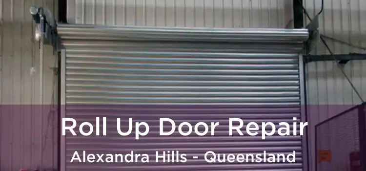 Roll Up Door Repair Alexandra Hills - Queensland
