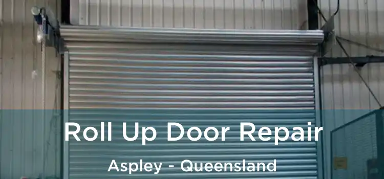 Roll Up Door Repair Aspley - Queensland