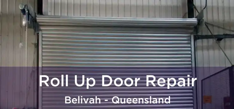 Roll Up Door Repair Belivah - Queensland
