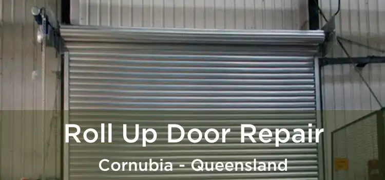 Roll Up Door Repair Cornubia - Queensland