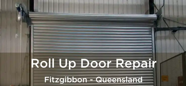 Roll Up Door Repair Fitzgibbon - Queensland