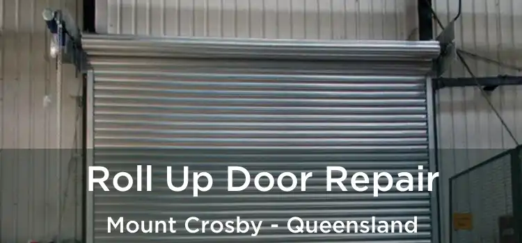 Roll Up Door Repair Mount Crosby - Queensland