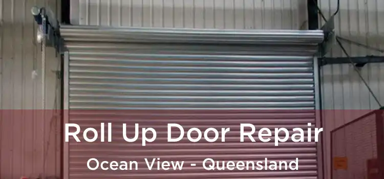 Roll Up Door Repair Ocean View - Queensland