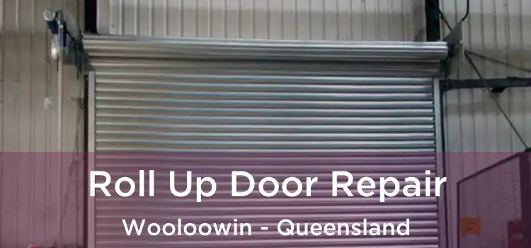 Roll Up Door Repair Wooloowin - Queensland
