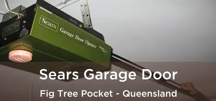 Sears Garage Door Fig Tree Pocket - Queensland